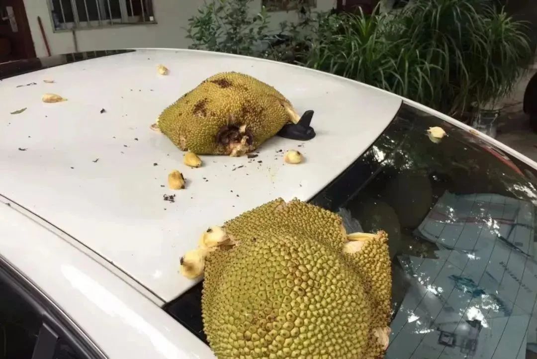 DƬ
